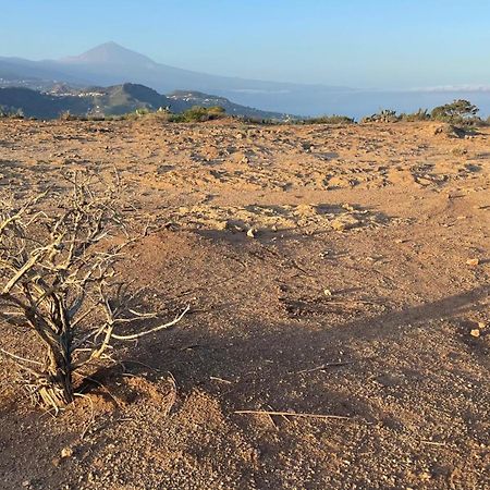 D-Espacios Zotea Tegueste Exteriér fotografie